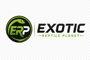 Exotic Reptile Planet