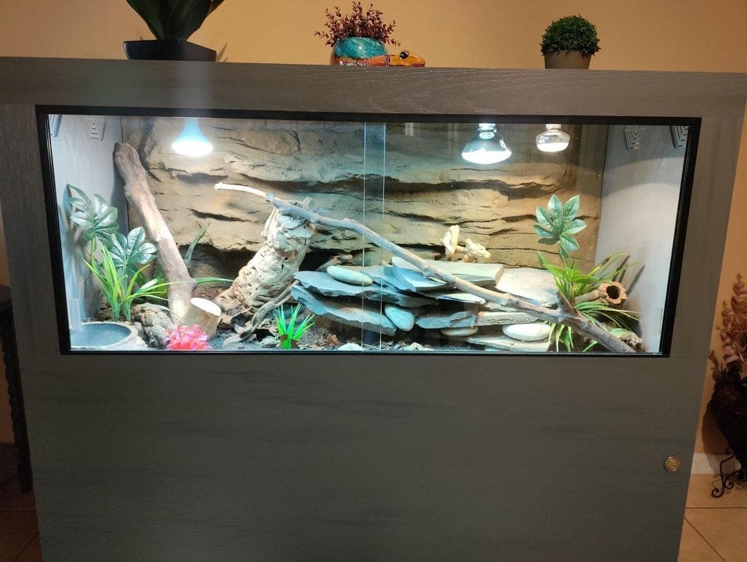 55 Gallon Tank